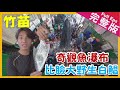 【台灣竹苗】秋季山海行旅｜秘境落羽松/魚瀑布/定置魚場/北歐風樹屋/超級水果餘甘子《世界第一等》991集完整版