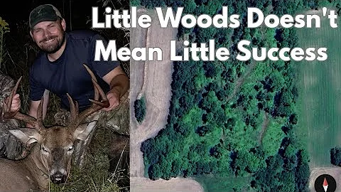 You Can Hold Deer in Small Wood Lots and Compete with Neighoring Large Tracts of Cover