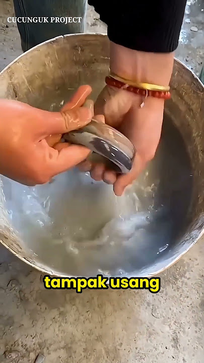 Tak Disangka! Gelang Ini Ternyata Bernilai Miliaran Rupiah! #shorts #shortvideo