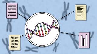NewStem | How stem cell diagnostics help cure cancer | Whiteboard animation