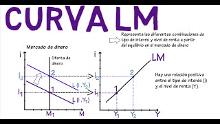 Curva Lm Cap. 9 - Macroeconomía