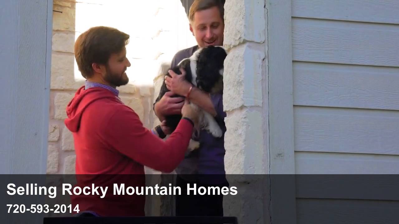 Staging Tip: Showing A Home With Pets