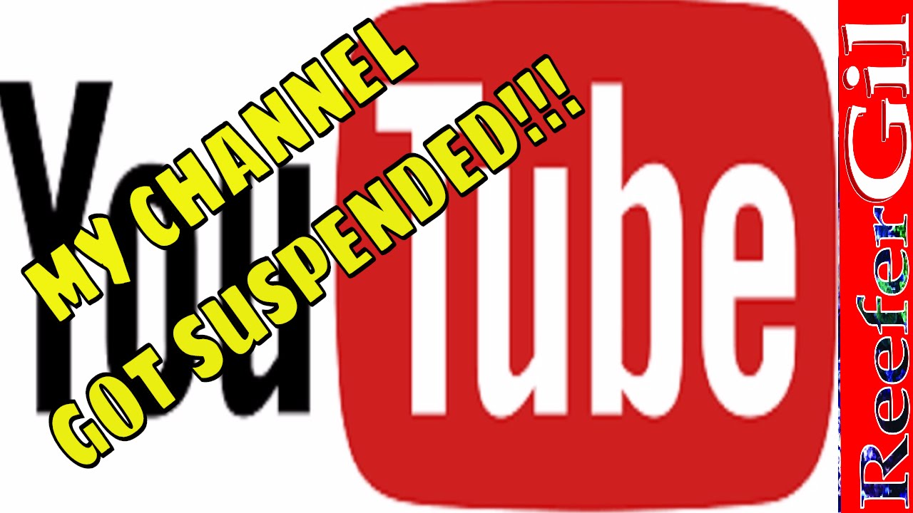 YouTube Channel Suspension Reinstated YouTube