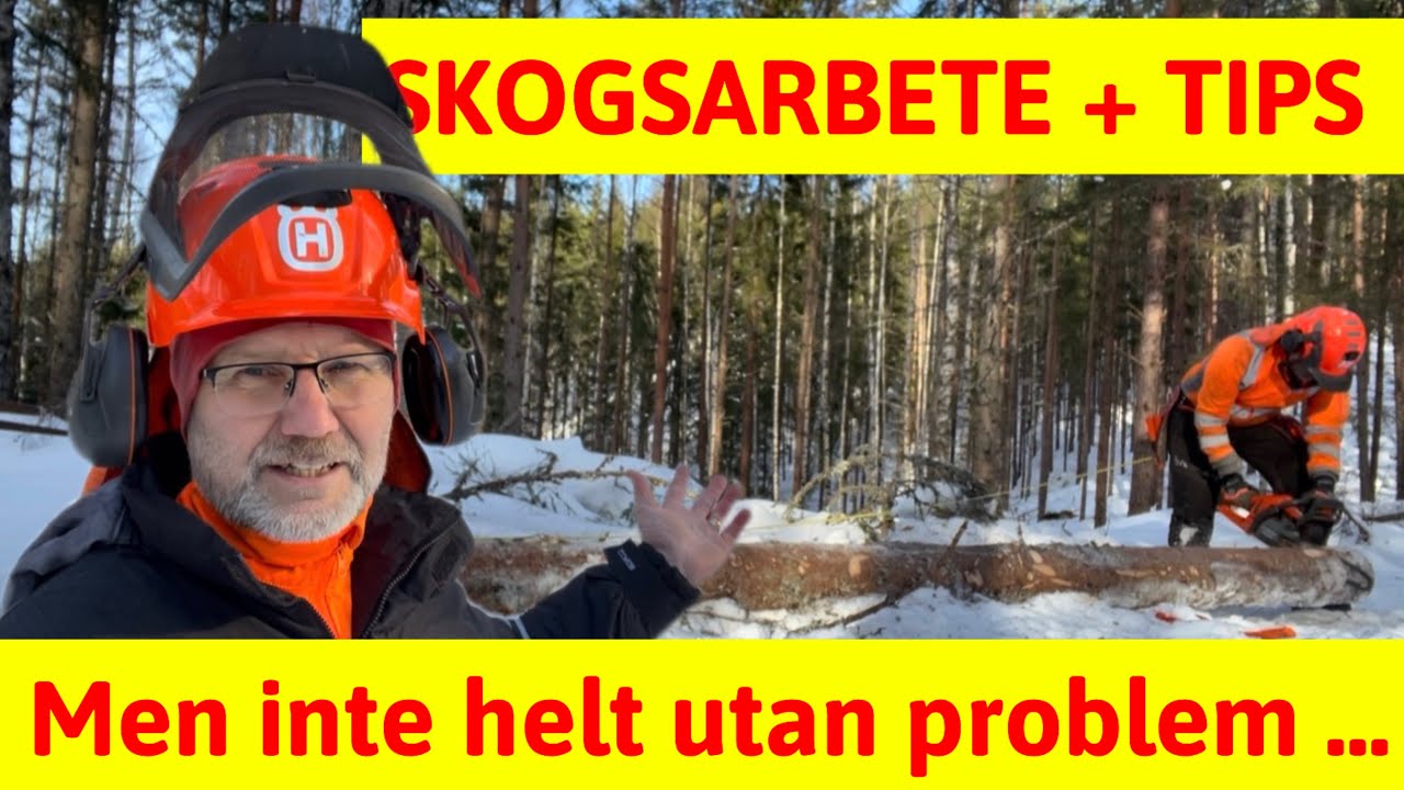 Äntligen skogsarbete med motorsåg. Lite problematisk blir det, men ger ändå några tips.