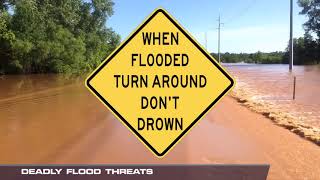 Celebrity Flood Safety Profile