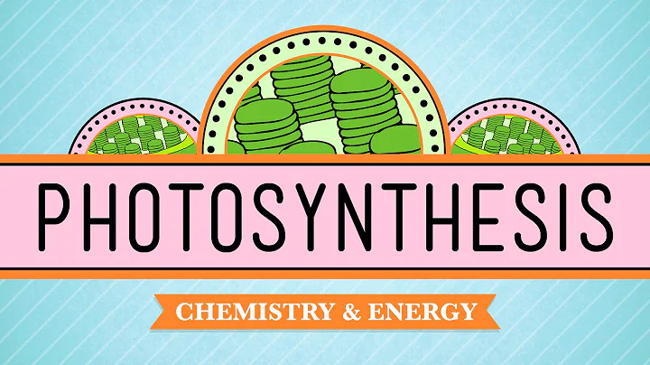 Photosynthesis: Crash Course Biology #8 - DayDayNews