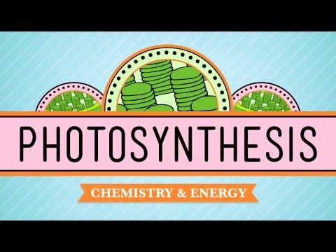 Photosynthesis: Crash Course Biology 8