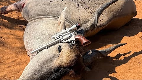 Cover Image for Custom Handgun Build Using a Ruger Super Blackhawk