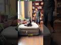 Automatic Air Bed 🛏️{pt58}🤯😨|New Viral Gadgets, Appliances, kitchen utensils/Home Investions#shorts