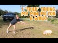 I TRIED TAKING MY MINI PIG FOR A WALK | She hurt me sooo bad!