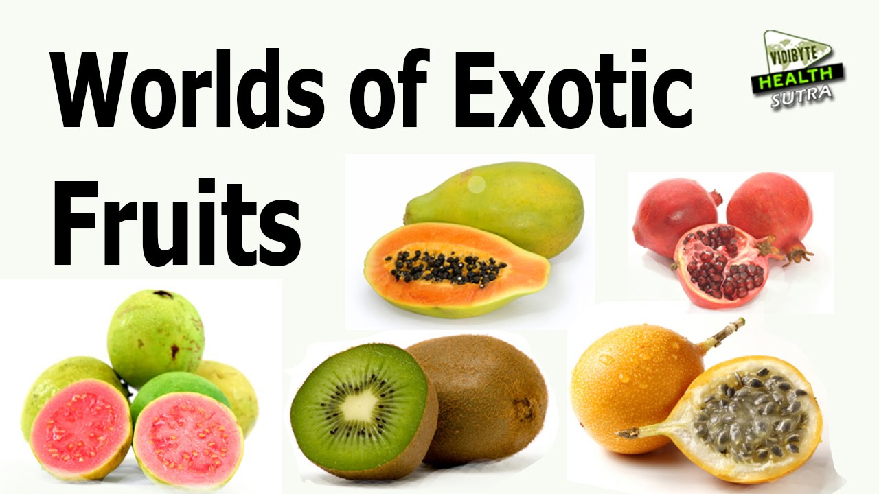 World of Exotic Fruits YouTube
