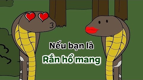 Nếu bạn là rắn hổ mang | Độc Lạ Sở Thú