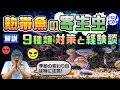 【閲覧注意】熱帯魚につく寄生虫9種類と対策！経験談も語ります