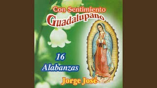 Video thumbnail of "Jorge José - Mi Virgen Bella"