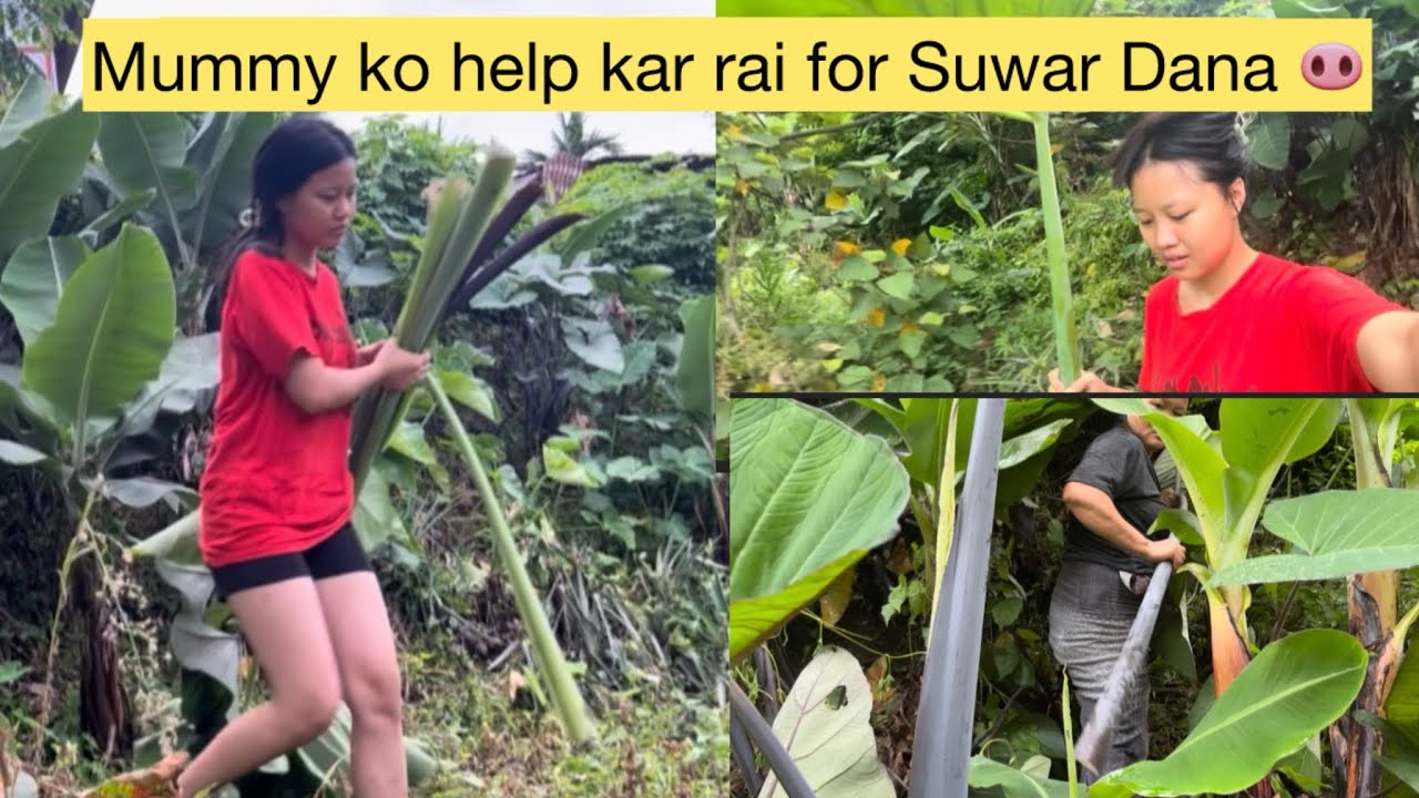 Helping my Ama 🐽 home made pakoda | Arunachal Pradesh