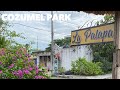 Cozumel Vibes 🇲🇽✨ Neighborhood Park &amp; Palapa #CozumelVibes#CozumelIsland #CozumelLocal 