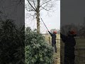 Echo Akko-Hochentaster DPPT 2600 im Einsatz / MotorLand
