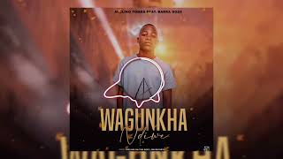 Avelino Tomás feat Barra Doze _ Wagunkha ndiwe (Audio )