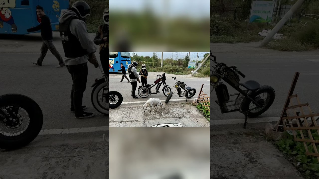 Roarpower 潮流電動輔助自行車的午後  