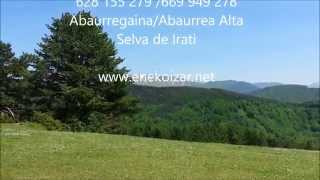 Itzaltzuko bardoa / El bardo de Izalzu. Gartxot