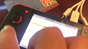 RG350 official update test