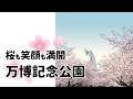 桜も笑顔も満開の万博記念公園へ行こう！【府政だより令和8年3月号】【早読み動画】