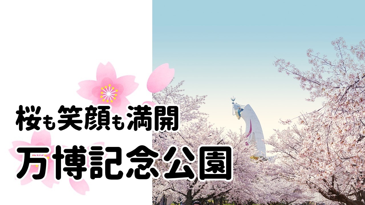桜も笑顔も満開の万博記念公園へ行こう！【府政だより令和8年3月号】【早読み動画】