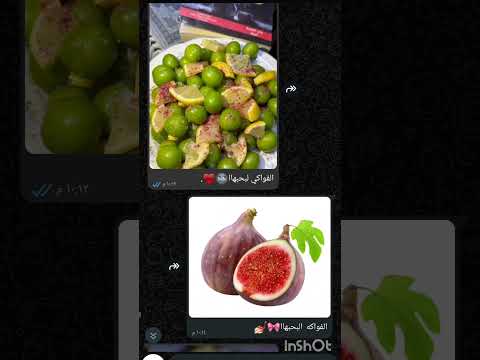 جماال لترند معهاا ميريامووفاءالسلوم