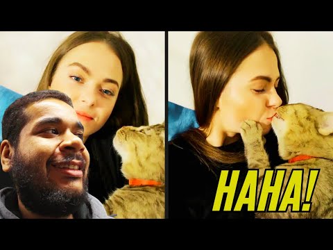A Cat With Infinite Rizz | Lay Reacts