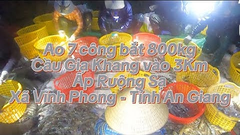 Ao 7 công bắt 800kg tôm càng lúc 3h Cầu Gia Khang vào 3Km Ấp Ruộng Sạ - Xã Vĩnh Phong - Tỉnh An Ging
