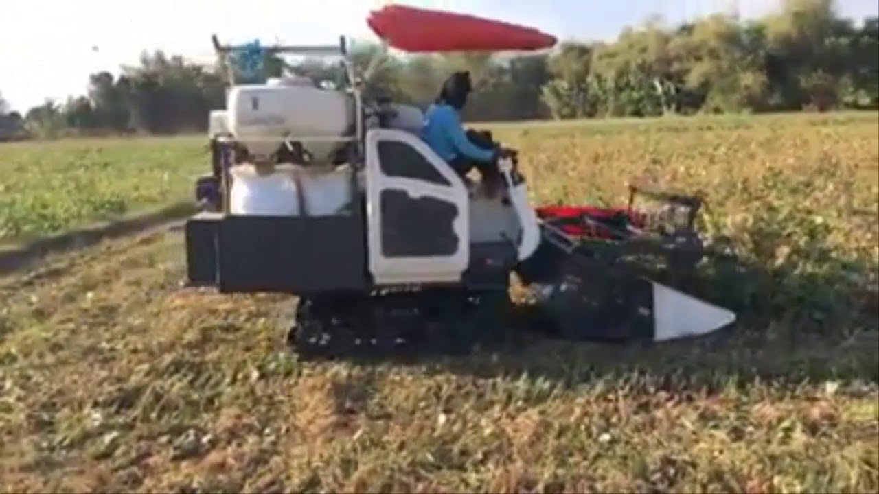 Keren! Cara Cepat Panen Kacang Hijau Dengan Mesin