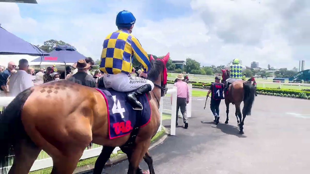  Horse Racing in Auckland – Fastest Day at the Track! #horseracing #newzealand #auckland 