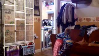 Kids having a spazz attack in the front room