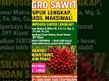 Pupuk premium NPK agrosawit. wawa dibio. #viral #reels #petani #sawit #perkebunan