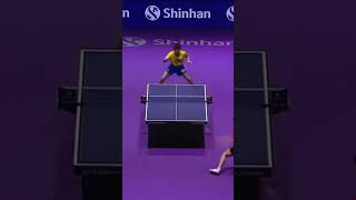 張本の強烈な回転のループを一撃カウンターする王楚欽 #tabletennis #国球乒乓 #pingpong #卓球 #王楚欽 #張本智和