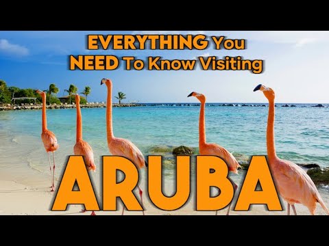 EVERYTHING You NEED To Know BEFORE Visiting Aruba