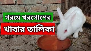 গরমে খরগোশের খাবার তালিকা | Summary Diet For rabbit in Bangla | Goroma Khorgos er Khabar ki ki