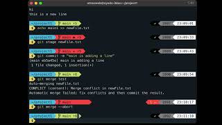 Git Merge Abort and Undo wrong merge | Urdu