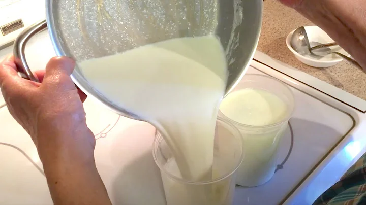 Leben  Homemade Yogurt | Joyce's Kitchen