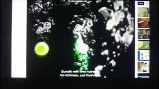 Sunsilk Clean & Fresh