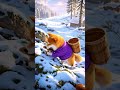 #viral #ai #comedy #funny #shortvideo #shorts #trending #cat #mrbeast #story
