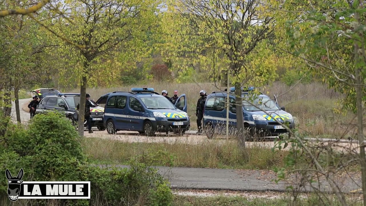 ZAD du LIEN : le Département passe en force et reprend les travaux