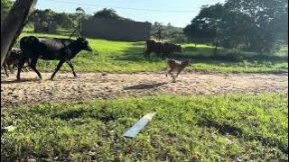 Siphisha awu 16 aphilile amanye asehlulile afa ngenxa yezimo umuntu yazi uma engasebenza serious 🧐