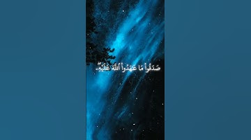 تلاوة خاشعه للقارئ بدر التركي #قران_كريم #راحة_نفسية #سورة_الاحزاب #اكتب_شي_تؤجر_عليه_بإذن الله