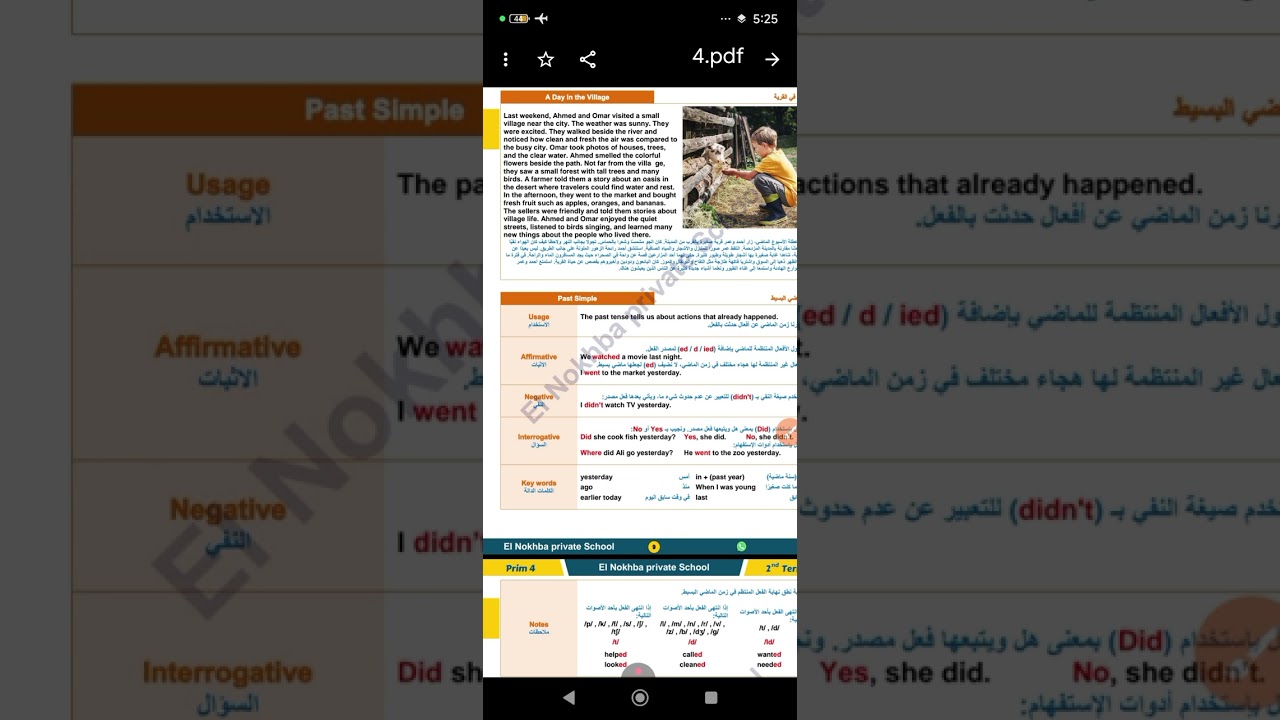 12 فبراير 2026