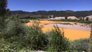 Toxic Spill in the Animas River