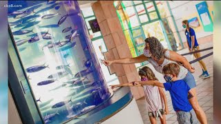 San Diego Unified, San Diego Foundation, partner for free summer enrichment program