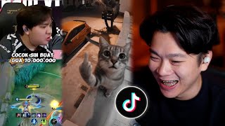 Download Lagu Kucing Tergesrek Sedunia \u0026 Luke Beli Kursi Gaming 70 Jt?! - EMPACTION #218 MP3 Download Lagu Kucing Tergesrek Sedunia \u0026 Luke Beli Kursi Gaming 70 Jt?! - EMPACTION #218 MP3