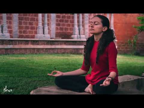 Sadhguru Tiếng Việt