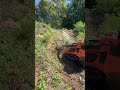 Rokokop Mini Skid Steer 🚜 | Malčiranje u akciji 💪🌲